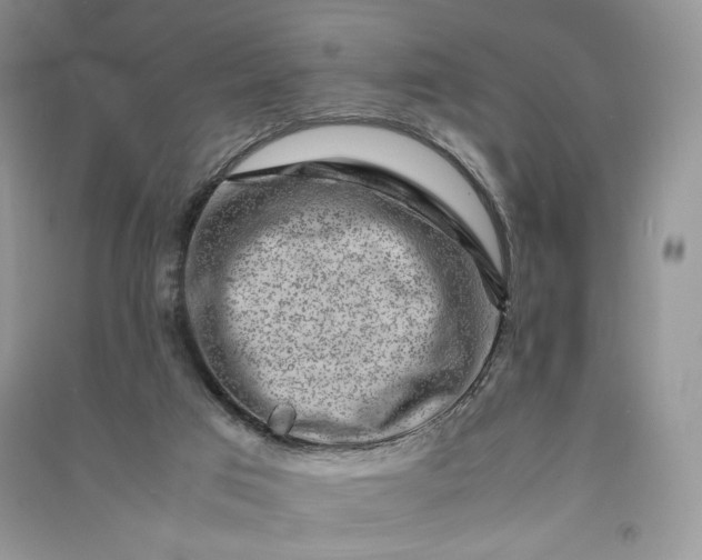 X0000090900017200708131401