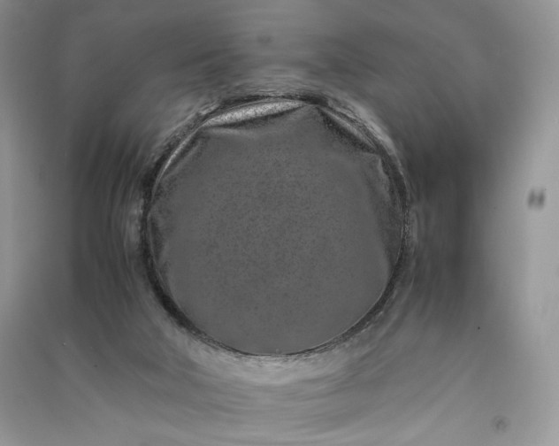 X0000090900018200708131401