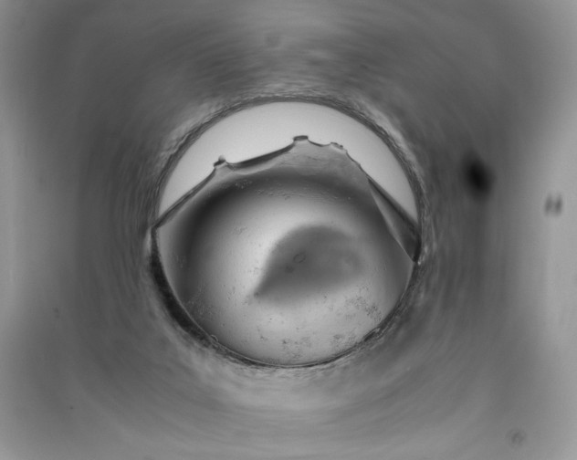 X0000090900019200708131401