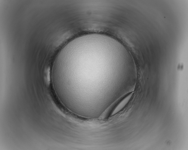 X0000090900020200708131401