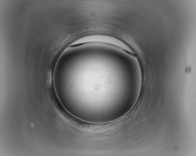 X0000090900021200708131401