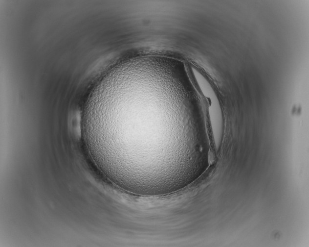 X0000090900022200708131401