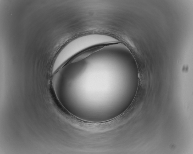 X0000090900023200708131401