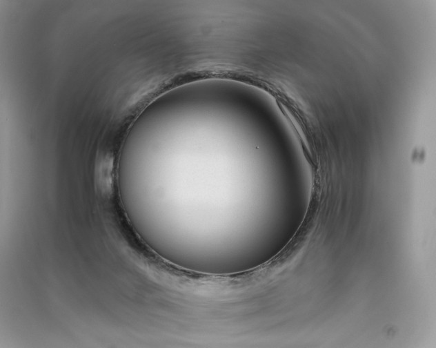 X0000090900024200708131401