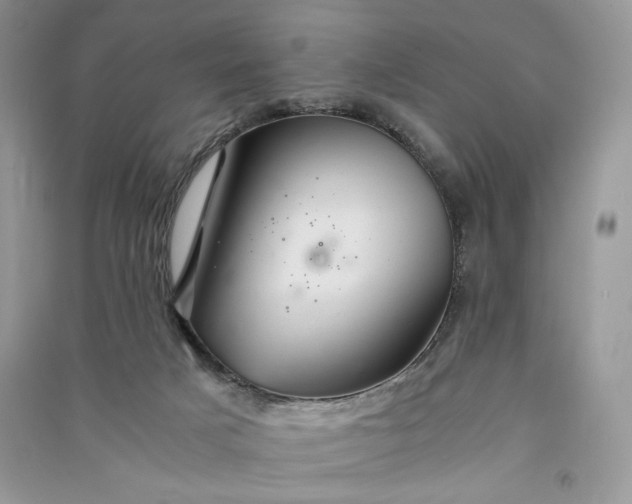 X0000090900025200708131401