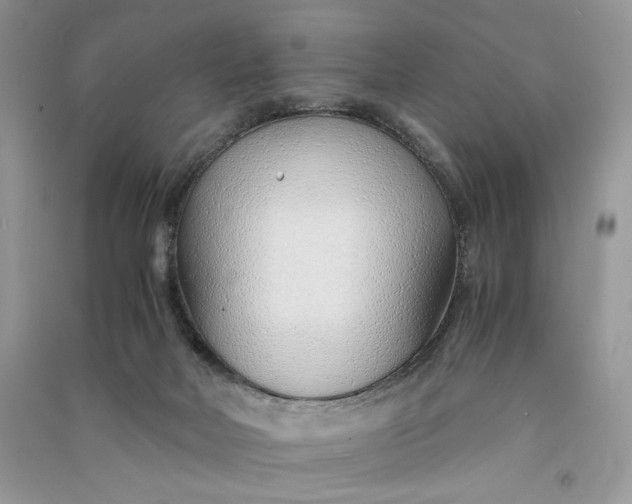 X0000090900026200708131401