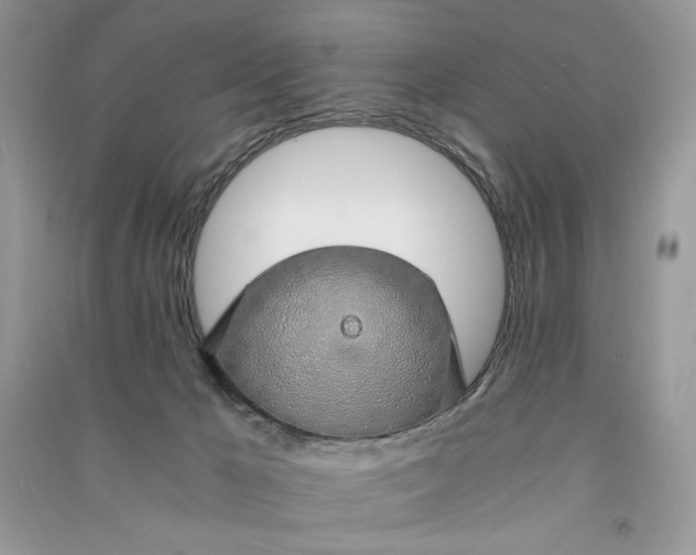 X0000090900029200708131401