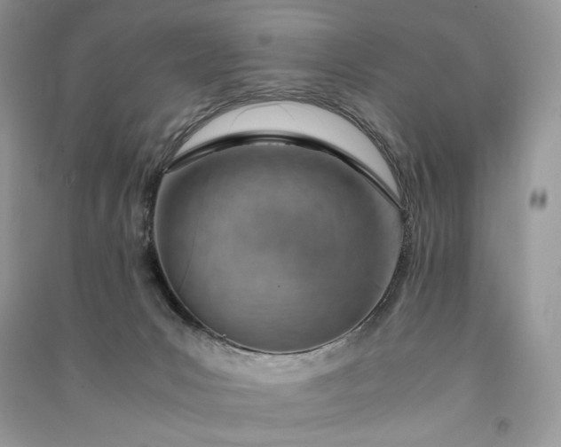 X0000090900031200708131401