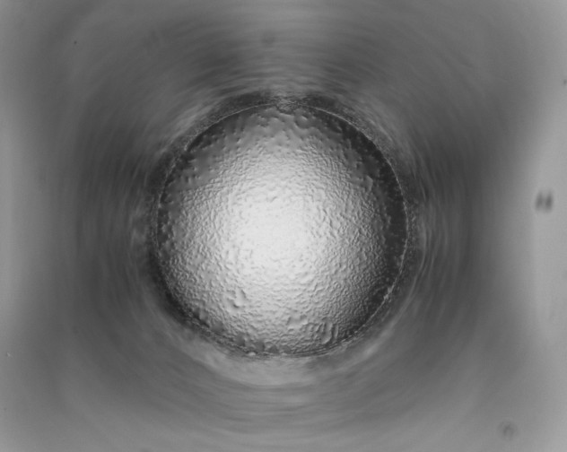 X0000090900032200708131401