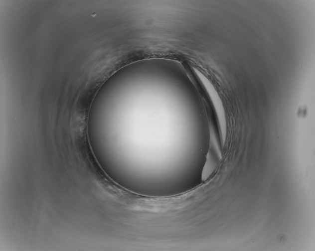 X0000090900033200708131401