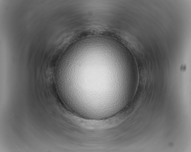 X0000090900034200708131401