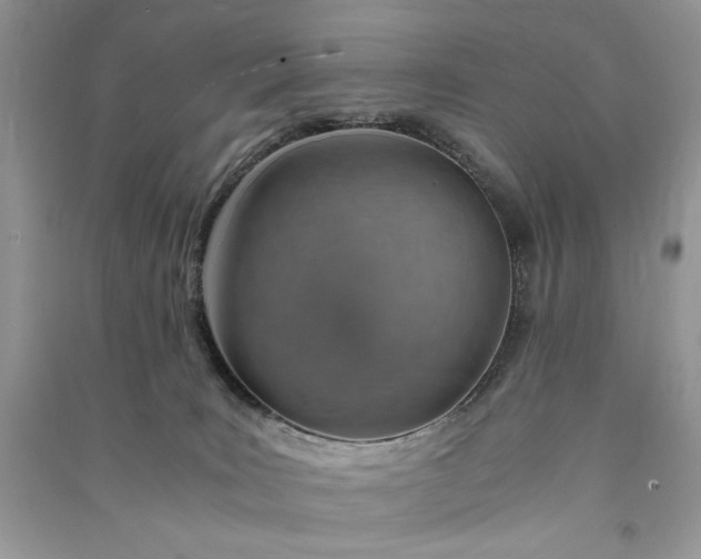 X0000090900035200708131401