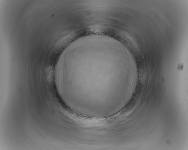 X0000090900036200708131401