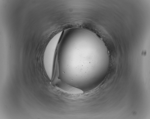 X0000090900037200708131401