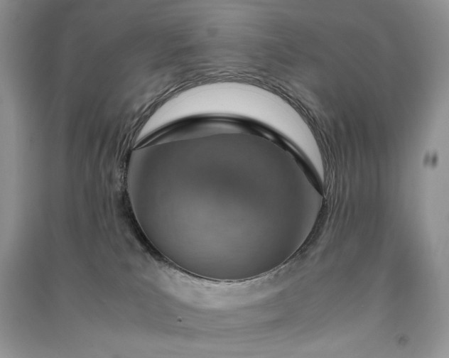 X0000090900039200708131401