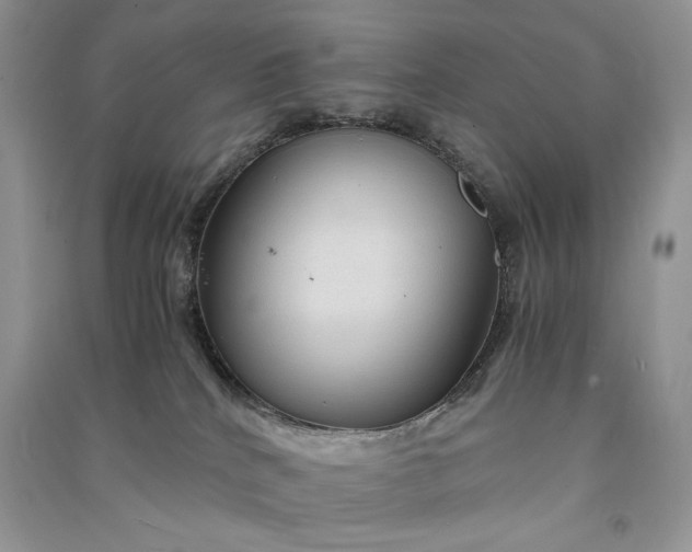 X0000090900040200708131401