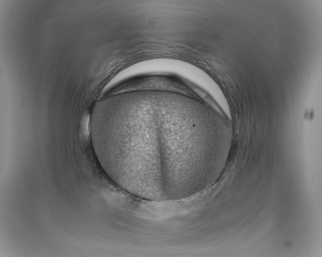 X0000090900041200708131401