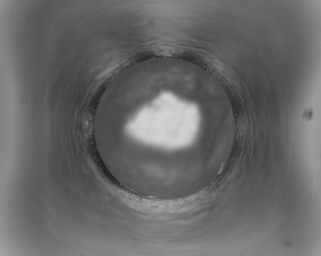 X0000090900043200708131401