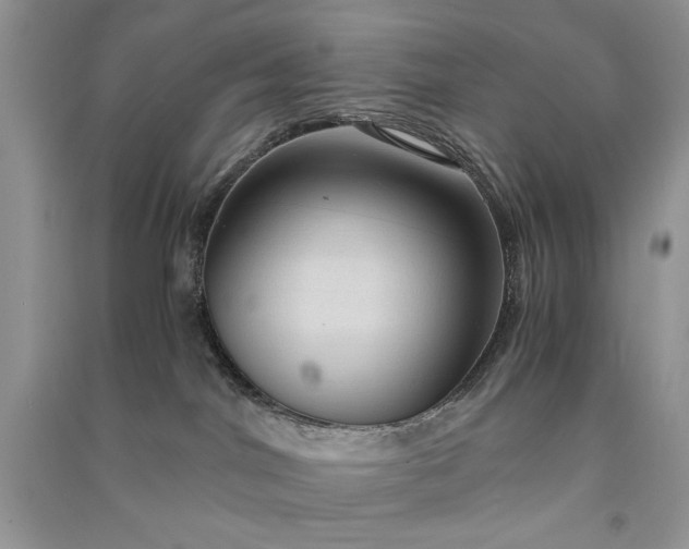 X0000090900044200708131401