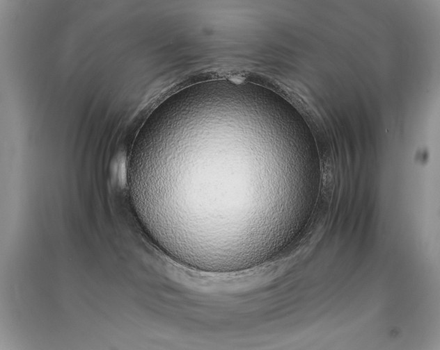 X0000090900046200708131401