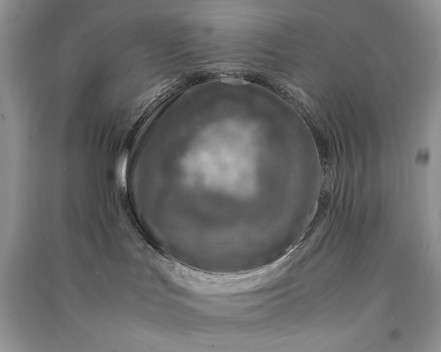 X0000090900047200708131401