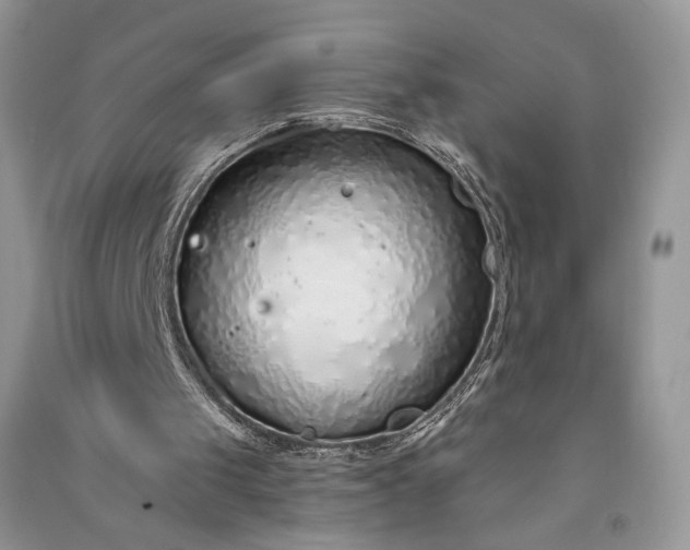 X0000090900049200708131400