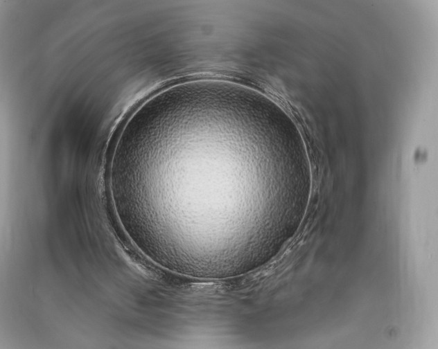 X0000090900050200708131400