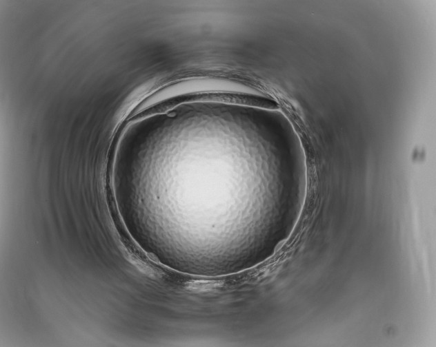 X0000090900051200708131400