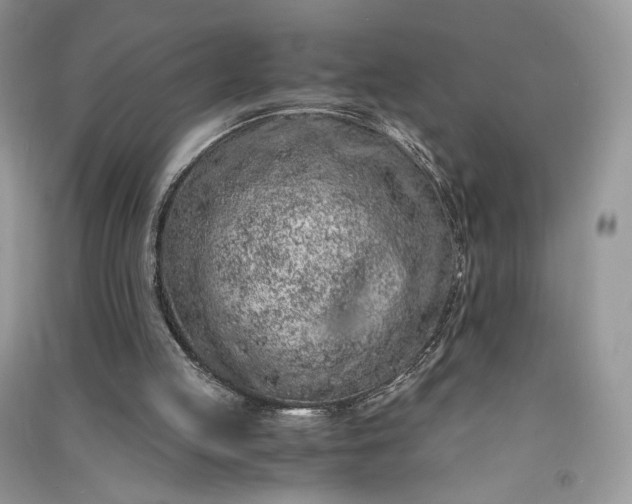 X0000090900053200708131400