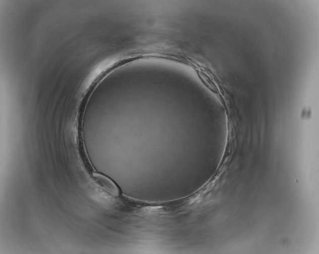 X0000090900054200708131400