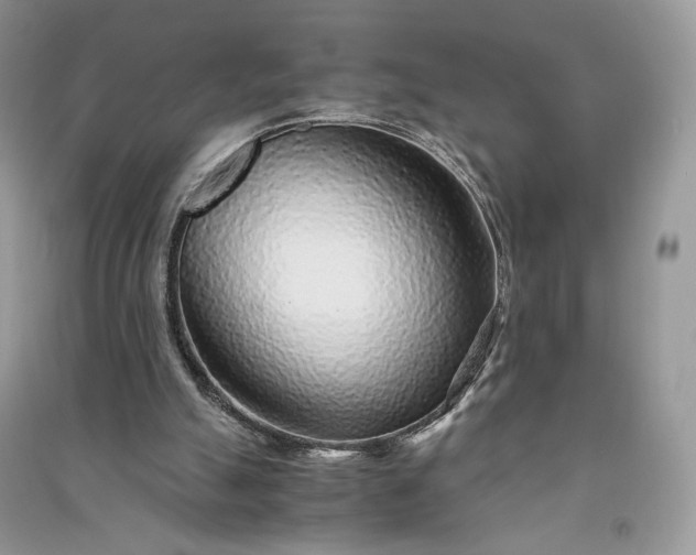 X0000090900055200708131400