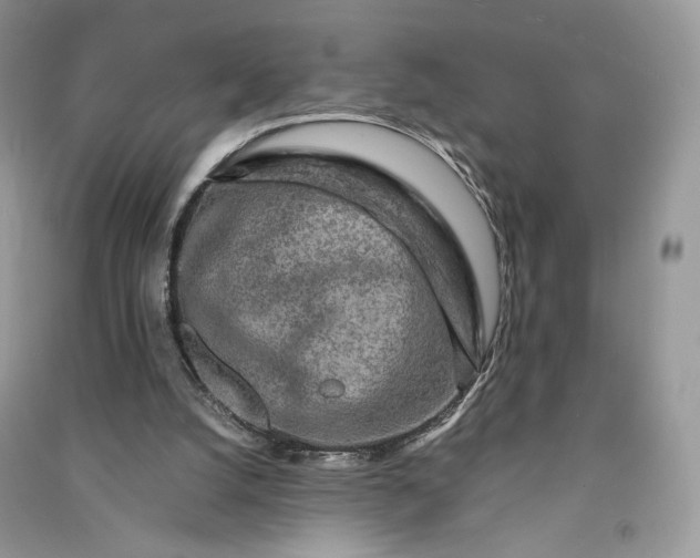 X0000090900056200708131400