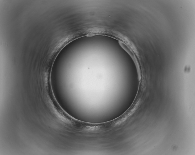 X0000090900057200708131400