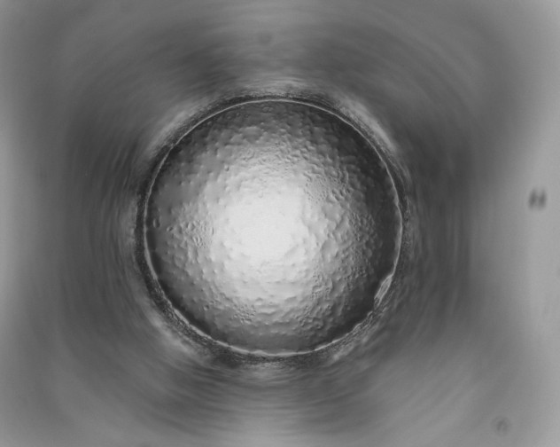 X0000090900058200708131400