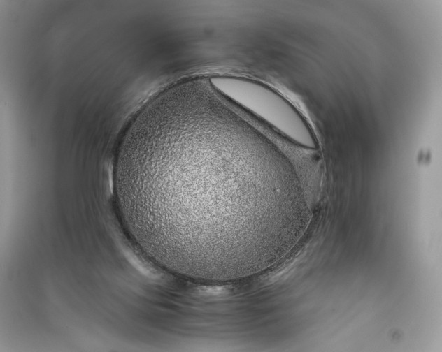 X0000090900061200708131401