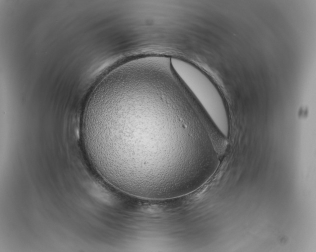 X0000090900062200708131401