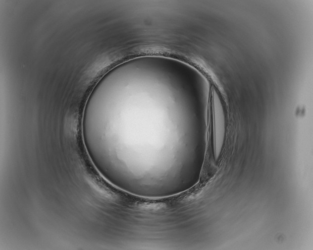 X0000090900063200708131401