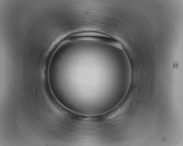 X0000090900064200708131401