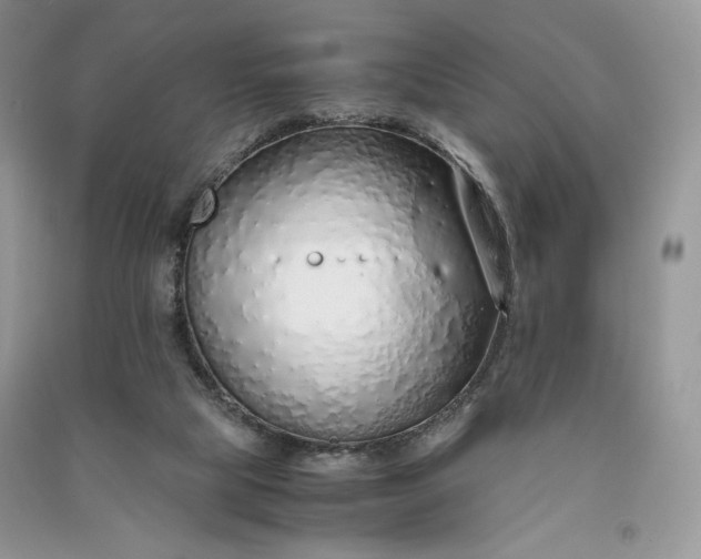 X0000090900065200708131401