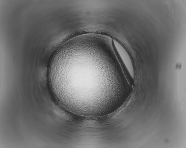 X0000090900066200708131401