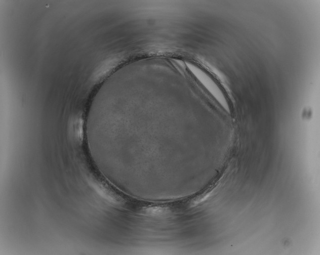 X0000090900067200708131401