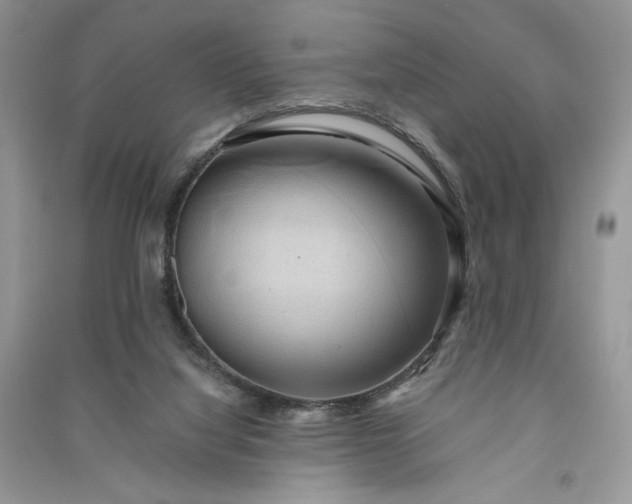 X0000090900068200708131401