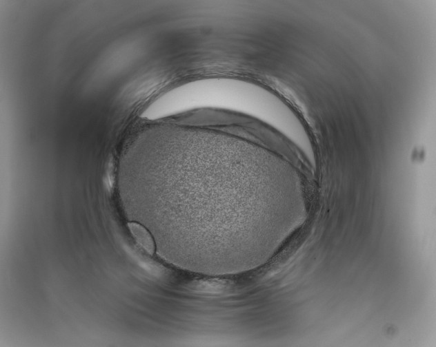 X0000090900069200708131401