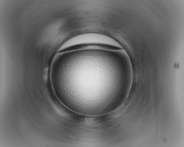 X0000090900070200708131401