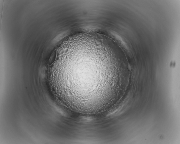 X0000090900071200708131401