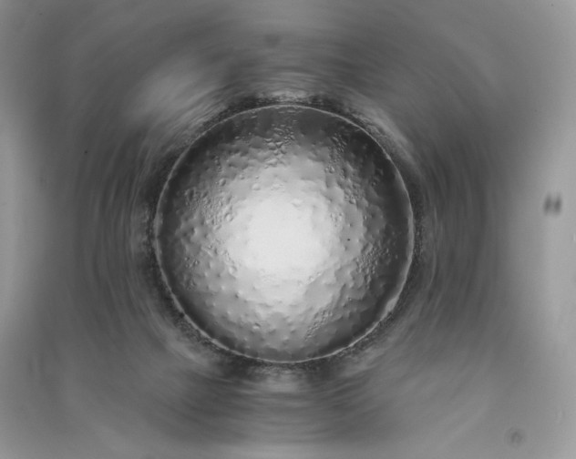 X0000090900073200708131401