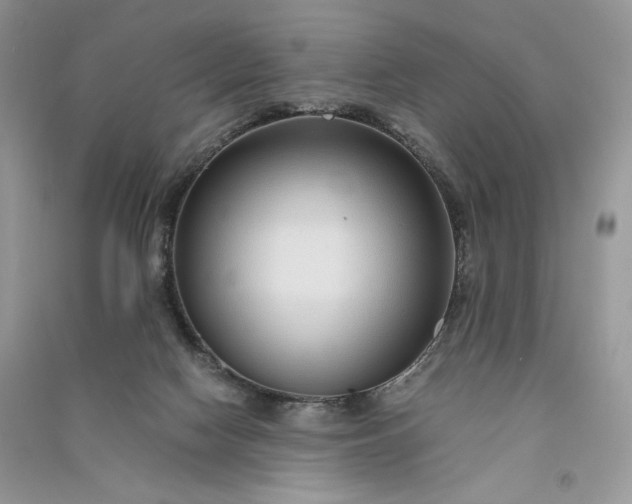 X0000090900074200708131401