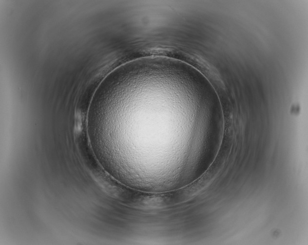 X0000090900075200708131401