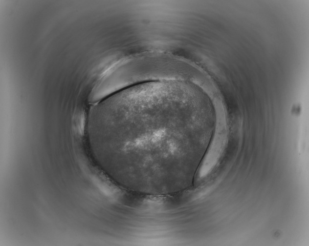 X0000090900076200708131401