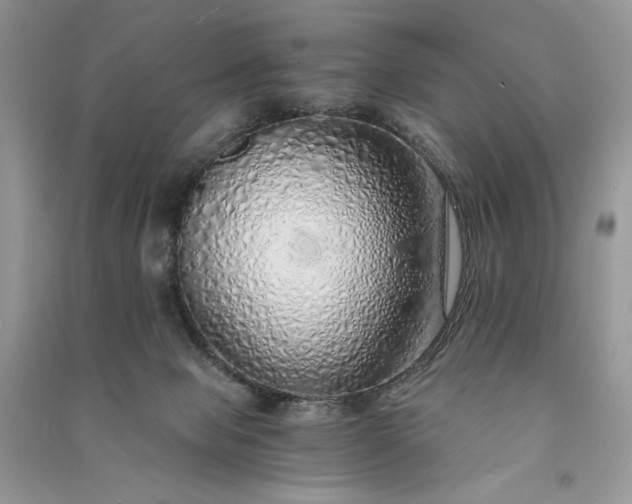 X0000090900077200708131401